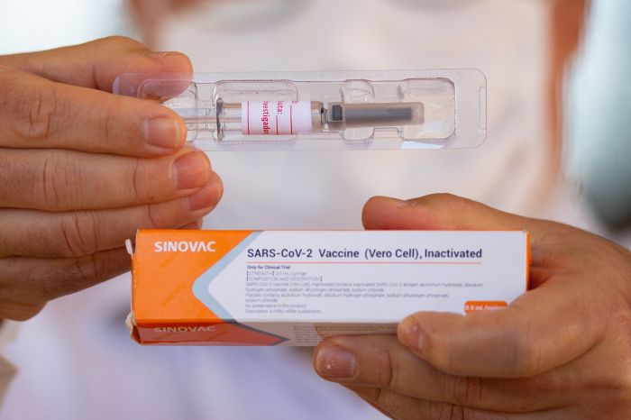 Vaksin Covid-19 Sinovac Sudah Lulus Uji Klinis Fase 3-Image-1
