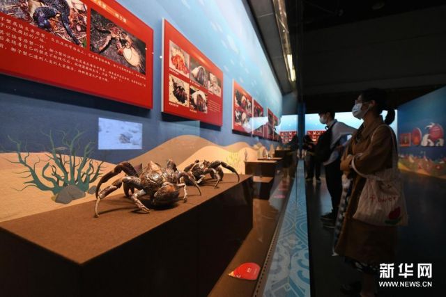 POTRET: Museum Udang dan Kepiting Dibuka di Guangzhou-Image-1