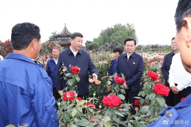 POTRET : Xi Jinping Inspeksi ke Nanyang, Henan-Image-4