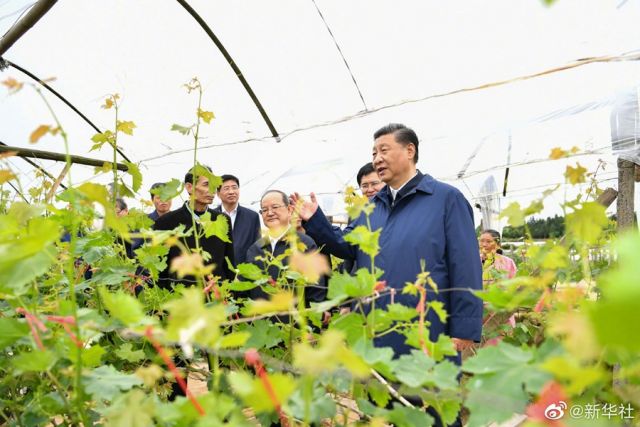 POTRET: Xi Jinping Berkunjung Ke Guangxi-Image-6